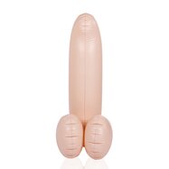 Klicka fr strre bild