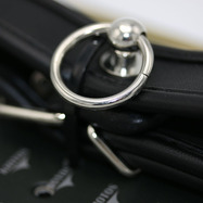 Klicka f�r st�rre bild