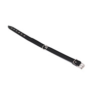 Klicka f�r st�rre bild