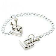 Universal Nipple Clamps with Chain