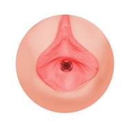 Klicka fr strre bild