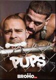 Pups  - Bromo.com -  Domination Hardcore Gay  - Lorenzo Jay Austin Ricky Larkin Scott Ambrose  - 66min -  DVD.    Click for more info...