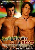 Shakydown Boys  - Sevp - Twinks Bareback Orgy Gay  - Andre Starr Klint Jordan Thorr Kofner Young Koshka - 120min -  DVD.    Click for more info...