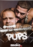 Pups  - Bromo.com -  Domination Hardcore Gay  - Lorenzo Jay Austin Ricky Larkin Scott Ambrose  - 66min -  DVD.    Click for more info...