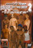 Cream Of The Crop 2  - Bc Productions -  Black  Gay  - Zan Vega James Rock Alex Skye Remy Blaq -  DVD.    Click for more info...